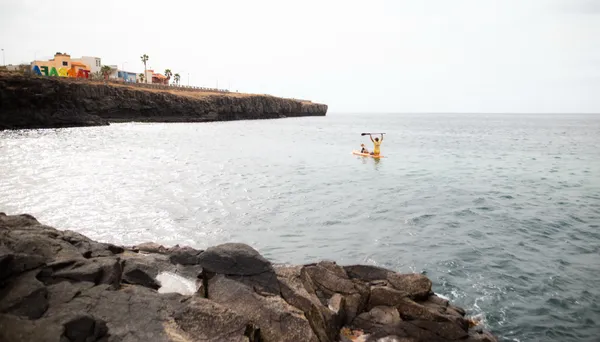 Paddle Board