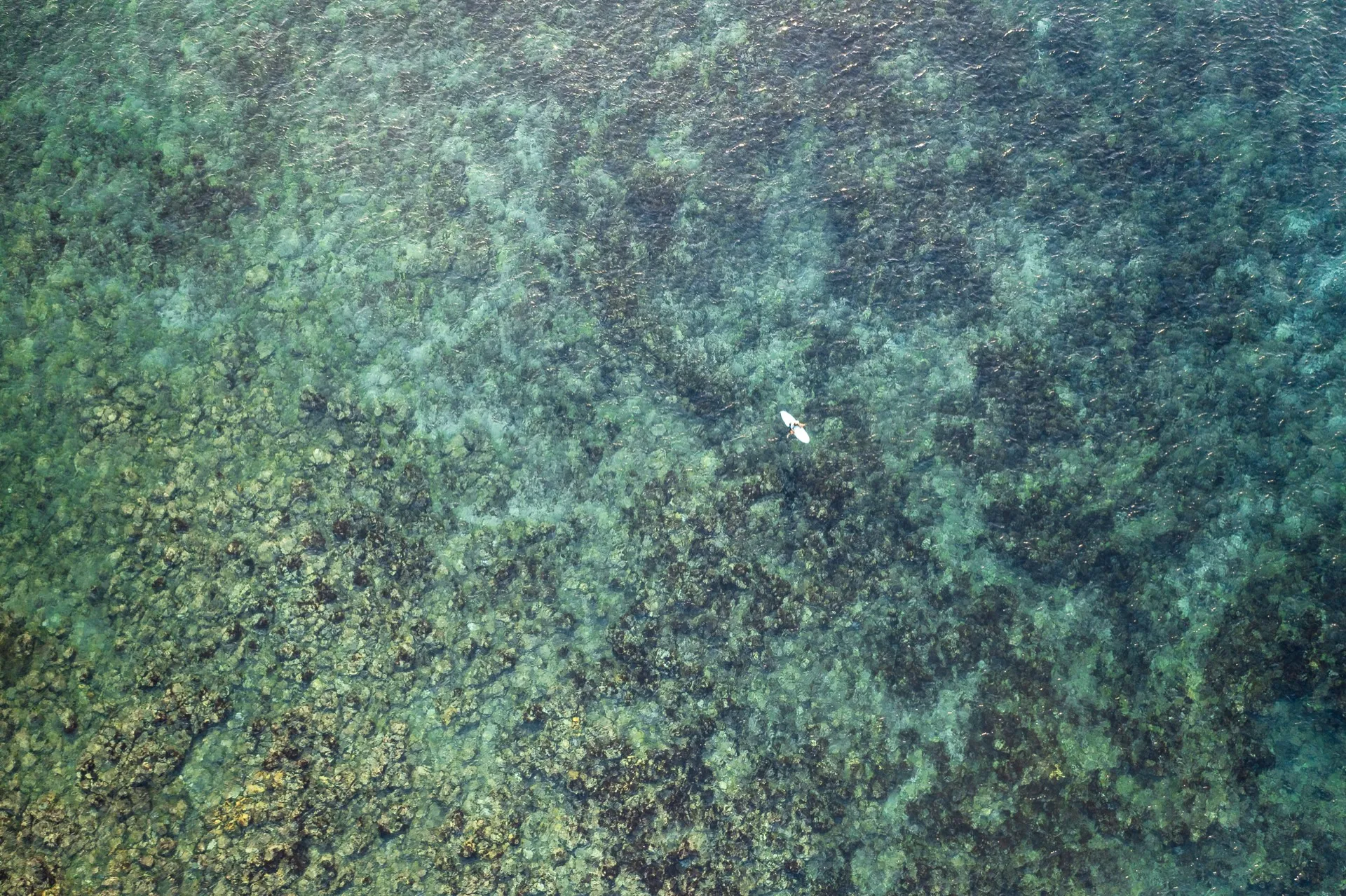 Aerial surfer crystal reef