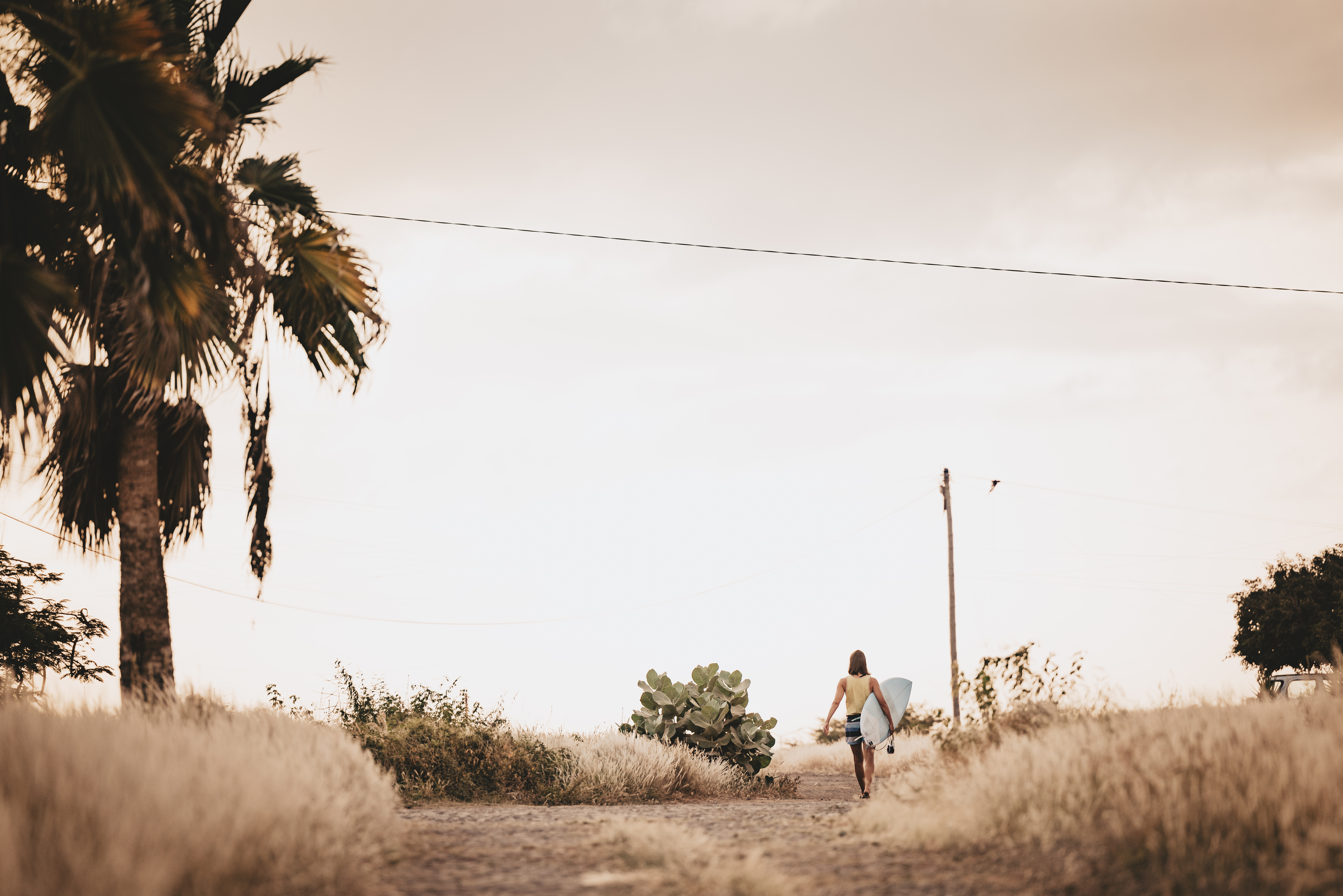 Surfer walking path with palm trees at dusk